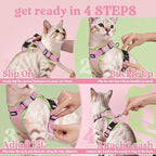 rabbitgoo Cat Harness and Leash Set, Escape Proof Vest, Pink & Light Green | Soft Breathable Mesh, Easy Adjustable Fit, Snap Buckles, Sturdy Clip, Reflective Strips, for Average Cats Walks, S