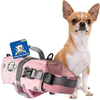 Dog Life Jacket — Premium Swim Vest with SafeChin Anti-Choke Collar | PAWS Aboard Pink | RapidLift Rescue Handle, D-Ring, Reflective Trim | Boating, Kayaking, Pool | XX-Small (Under 6 lbs)
