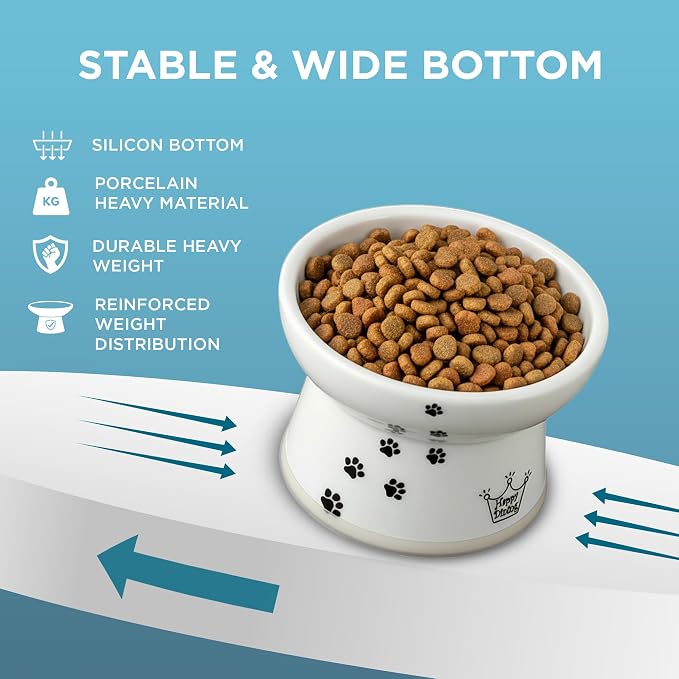 Necoichi Ceramic Elevated Cat Food Bowl, Whisker-Friendly (Cats, Regular)