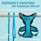 rabbitgoo Cat Harness and Leash Set, Escape Proof Vest, Teal | Soft Breathable Mesh, Easy Adjustable Fit, Snap Buckles, Sturdy Clip, Reflective Strips, for Medium to Large Cats Walks, M