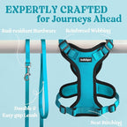 rabbitgoo Cat Harness and Leash Set, Escape Proof Vest, Teal | Soft Breathable Mesh, Easy Adjustable Fit, Snap Buckles, Sturdy Clip, Reflective Strips, for Average Cats Walks, S