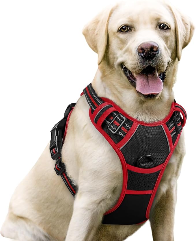 rabbitgoo Dog Harness, No Pull for Large Dogs with 2 Leash Clips, Pet Vest | No Choke with Handle, Adjustable Soft Padded, Reflective, Easy Control for Walking, Black & Red, Large