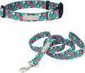 Lucky Love Dog - Adjustable Dog Collar and Leash Set with Easy Click Buckle for Large Dogs, Durable, & Comfortable Collar for Male & Female Dogs, Puppies & Adult Ones - Penny Combo, Large