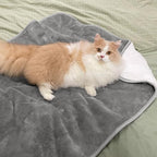 Soft Waterproof Blanket for Bed Couch Sofa, Grey, 30x40 inches | Liquid Pee Proof Pet Blanket for Dog Puppy Cat, Reversible Sherpa Fleece Blanket for Couch Cover, Furniture Protector