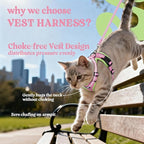 rabbitgoo Cat Harness and Leash Set, Escape Proof Vest, Pink & Light Green | Soft Breathable Mesh, Easy Adjustable Fit, Snap Buckles, Sturdy Clip, Reflective Strips, for Average Cats Walks, S