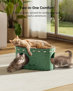 DownyPaws Cat House for Indoor Cats, Cube Castle Cat Bed Cave, Forest | Cat Hideaway Enclosed Bed,Cave Hideout Fort,Kitten Peekaboo Hut for Cats,Hide Box Bed for Large Cat Up to 22 Lbs
