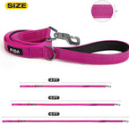 Fida 6 FT Heavy Duty Dog Leash with 2 Comfortable Padded Handles, Traffic Handle & Advanced Easy Snap Hook, Reflective Walking Lead for Large, Medium & Small Breed Dogs, Rose