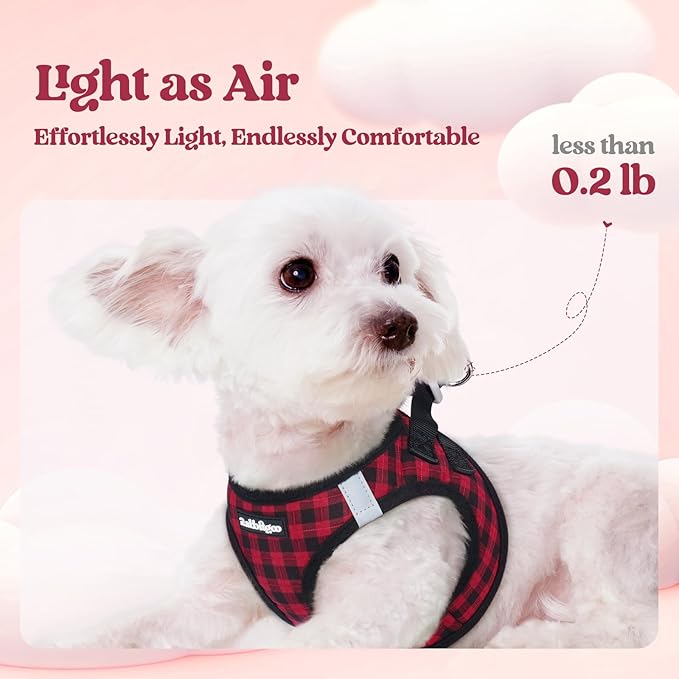 rabbitgoo Dog Harness Small Sized and Leash Set, Step-in Puppy Pet Vest | Light, Soft, Breathable Air Mesh, Easy on and Remove with Hook & Loop, Secure Reflective for Walking, Red Check XXS