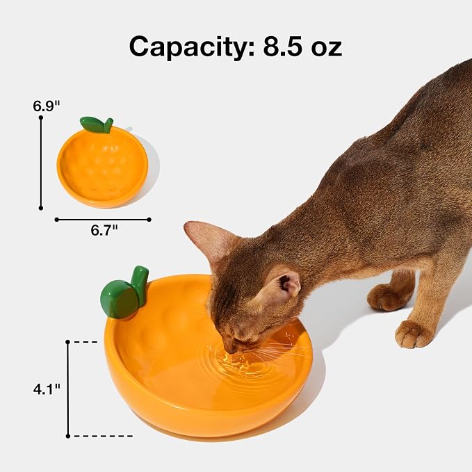 VETRESKA Ceramic Pet Bowl, Tilted Design Pet Feeder for Food and Water | Anti Vomit Cat Bowls for Indoor Cats Cute Tangerine Cat Bowl Dishwasher Safe