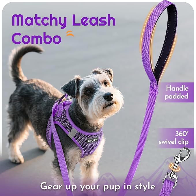 Eagloo Small Dog Harness and Leash Set, Step in Medium Small Puppy Pet Vest | Light, Soft, Breathable Air Mesh, Easy on and off with Hook & Loop, Reflective for Safe Walking, Purple, M
