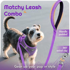 Eagloo Small Dog Harness and Leash Set, Step in Medium Small Puppy Pet Vest | Light, Soft, Breathable Air Mesh, Easy on and off with Hook & Loop, Reflective for Safe Walking, Purple, M