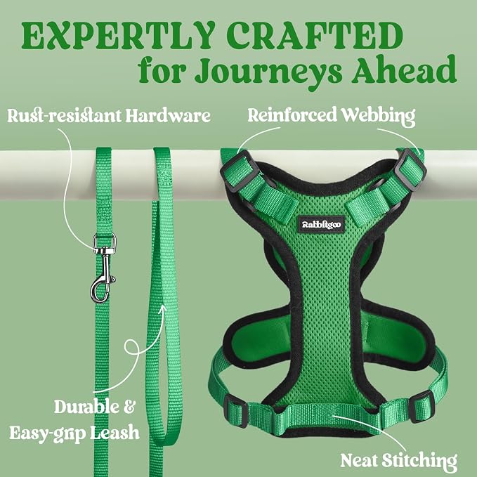 rabbitgoo Cat Harness and Leash Set, Escape Proof Vest, Grass Green | Soft Breathable Mesh, Easy Adjustable Fit, Snap Buckles, Sturdy Clip, Reflective Strips, for Medium to Large Cats Walks, M