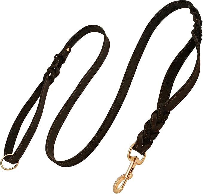 ADITYNA Leather Dog Leash with Traffic Handle, 6ft, Medium & Small Dogs | Heavy-duty braided leather leash, 5/8" width x 6ft, Double handle for extra control, ideal for training & busy sidewalks.