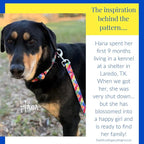 Lucky Love Dog - Adjustable Dog Collar with Easy Click Buckle for Medium, Durable, & Comfortable for Male & Female Dogs, Pet Collar for Puppies & Adult Dogs - Hana, Medium