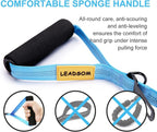 6FT Highly Reflective Heavy Duty Elastic Bungee Medium and Large Dog Leash Shock Absorbing with Comfortable Padded Handle and Traffic Handle Suitable for Training Light Blue