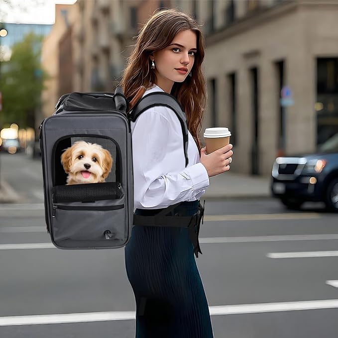 EliteField Deluxe Backpack Pet Carrier for Cats and Dogs (3-Year Warranty) | Airline Approved, Waterproof, 3 Scratch-Resistant Mesh Doors, Fleece Mat, Built-In Leash, Seat Belt Loops, Suitcase Sleeve