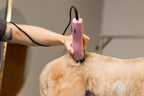 Wahl Pro Animal Thick-Curly Coat Clipper - Professional Pet Clipper for Curly Hair - Fur Care for Dogs & Cats - 2-Speed & Corded - Lightweight & Quiet - Durable - Ergonomic Design - Pink