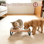SPUNKYJUNKY Ceramic Elevated Tilted Dog Bowls Bone-Shaped Raised with 2 Height Iron Stand, 4.9'' Dog and Cat Food Water Bowls Set Non-Slip for Puppy Kitten Small Sized Breed - 7 OZ,Beige