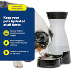 PetSafe Healthy Pet Water Station, 64 oz, Stainless Steel Bowl, Small | Gravity-Fed Pet Water Fountain Keeps Cats or Small Dogs Hydrated, Stainless Steel Bowl Is Dishwasher Safe