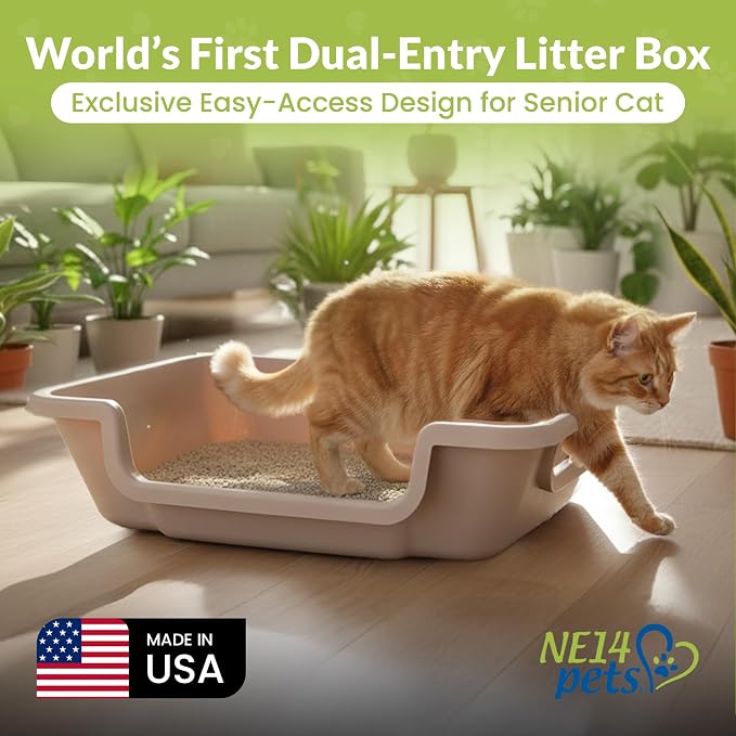 KittyGoHere 2.0 Easy Entry Cat Litter Box with Scoop, Large Misty Gray | Large Open - Top Low Entrance Litter Pan With Higher Sides & Durable Long-handle Jumbo Scoop for Easy Cleaning, Made in USA