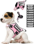 Small Service Dog Vest Harness and Leash Set+10 Patches Pink XS | Adjustable Reflective Do Not Pet Emotional Support Dog Vest with 2 Soft Padded Handle,MOLLE,for Everyday Training Hiking