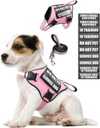 Small Service Dog Vest Harness and Leash Set+10 Patches Pink XS | Adjustable Reflective Do Not Pet Emotional Support Dog Vest with 2 Soft Padded Handle,MOLLE,for Everyday Training Hiking