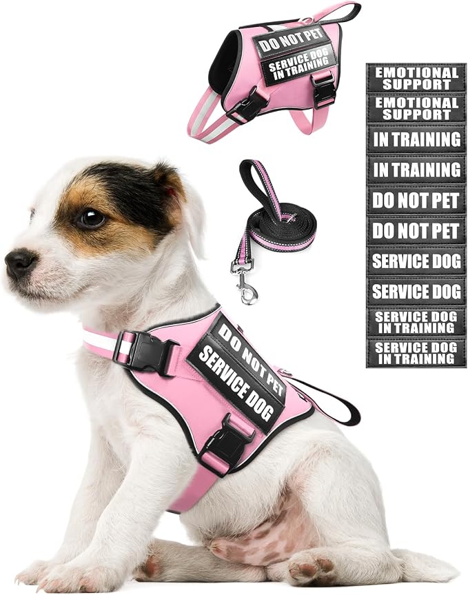 Small Service Dog Vest Harness and Leash Set+10 Patches Pink XS | Adjustable Reflective Do Not Pet Emotional Support Dog Vest with 2 Soft Padded Handle,MOLLE,for Everyday Training Hiking