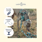 Lucy & Co. x Parks Project Geyser Dog Leash, Durable Matching Dog Lead with Heavy Duty Hardware, Large