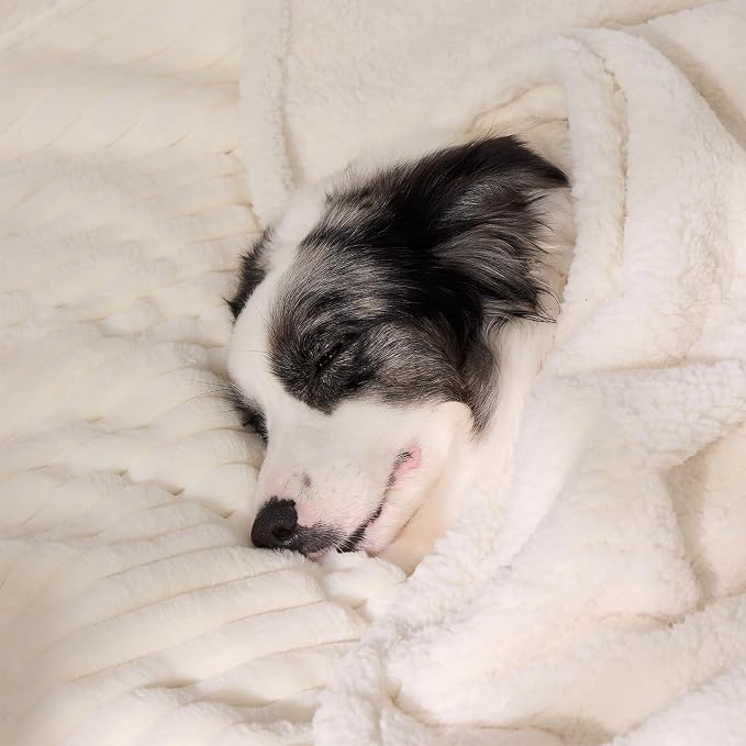 Waterproof Calming Dog Blanket for Large Dogs, Noiseless Soft Plush Pet Blanket for Bed, 500GSM Thick Faux Fur Pet Throw, Cozy Couch Furniture Protection Washable, Cream, 60x80IN
