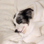 Waterproof Calming Dog Blanket for Large Dogs, Noiseless Soft Plush Pet Blanket for Bed, 500GSM Thick Faux Fur Pet Throw, Cozy Couch Furniture Protection Washable, Cream, 50x60IN