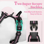 rabbitgoo Dog Harness, No Pull Medium Sized with 2 Leash Clips, Pet Vest | No Choke with Handle, Adjustable Soft Padded, Reflective, Easy Control for Walking, Pink, Medium
