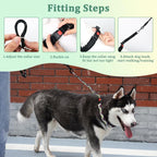 Mayerzon No Pull Dog Prong Collar Martingale, Personalized Pinch Collar | Anti Pull Collar with Buckle for Large Medium Small Dogs, Safe for Walking Training, Festivals(Vintage, L)