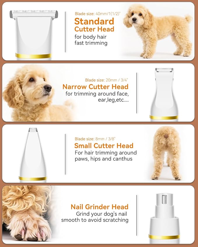Dog Grooming Kit with Paw Trimmer, All-in-One Low Noise Electric Rechargeable Small Quiet Pet Clippers Foot Dog Hair Shaver with Stainless Steel Scissors and Comb for Dogs at Home