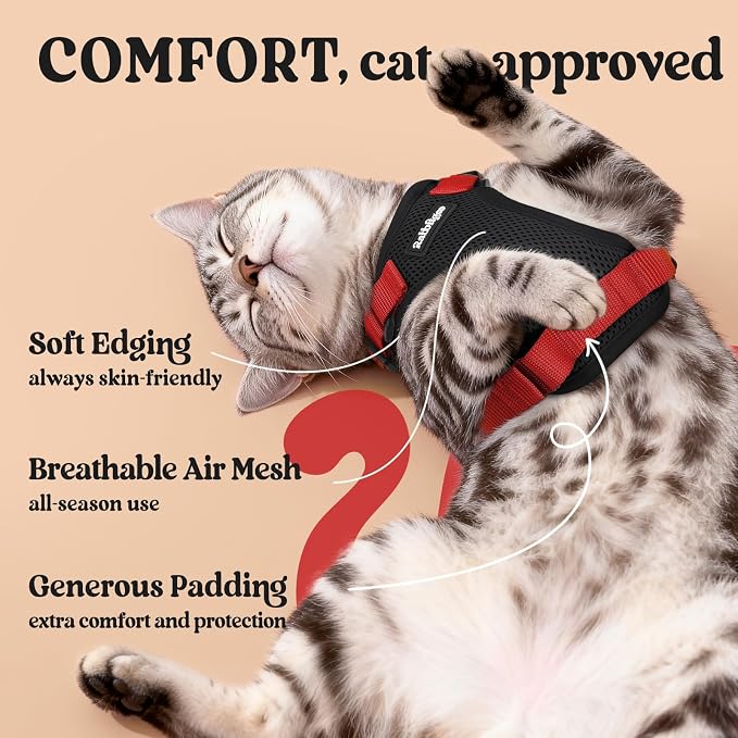 rabbitgoo Cat Harness and Leash Set, Escape Proof Vest, Black & Red | Soft Breathable Mesh, Easy Adjustable Fit, Snap Buckles, Sturdy Clip, Reflective Strips, for Average Cats Walks, S