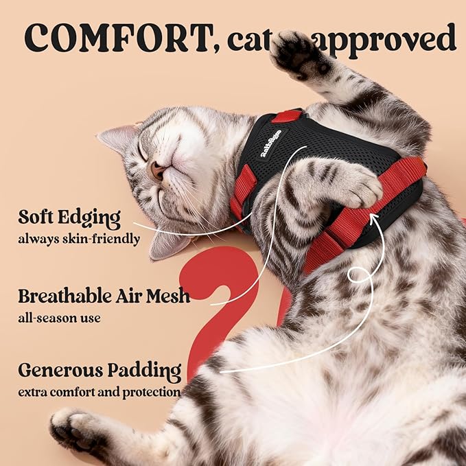 rabbitgoo Cat Harness and Leash Set, Escape Proof Vest, Black & Red | Soft Breathable Mesh, Easy Adjustable Fit, Snap Buckles, Sturdy Clip, Reflective Strips, for Kittens & Small Cats Walks, Xxs