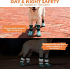 EXPAWLORER Dog Socks to Prevent Licking Paws with Grippers for Hardwood Floors Anti Slip,Glow-in-the-Dark Dog Summer Shoes Booties Boots & Paw Protectors for Small Medium Large Senior Dogs Green XL