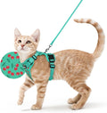 rabbitgoo Cat Harness and Leash Set, Escape Proof Vest, Cherry Grove | Soft Breathable Mesh, Easy Adjustable Fit, Snap Buckles, Sturdy Clip, Reflective Strips, for Average Cats Walks, S