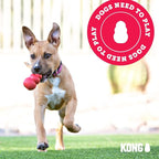 KONG Extreme Dog Toy - Fetch & Chew Toy - Treat-Filling Capabilities & Erratic Bounce for Extended Play Time Most Durable Natural Rubber Material - for Power Chewers - for Small Dogs