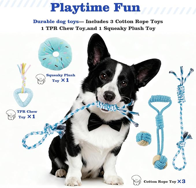 Puppy Supplies Starter Kit, Blue Puppy Essentials for Small Dogs | Bowls, toys, toothbrush, treat pouch and more in one pink puppy kit; ideal welcome home gift for small dogs and new puppies