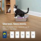 PetSafe ScoopFree Odor Control Crystal Cat Litter, Lavender Scent, 8 Lb Bag | 5x Faster Odor Control than Clumping Clay Litter, 99% Dust-Free, Low Tracking Crystals, Compatible with Any Cat Litter Box