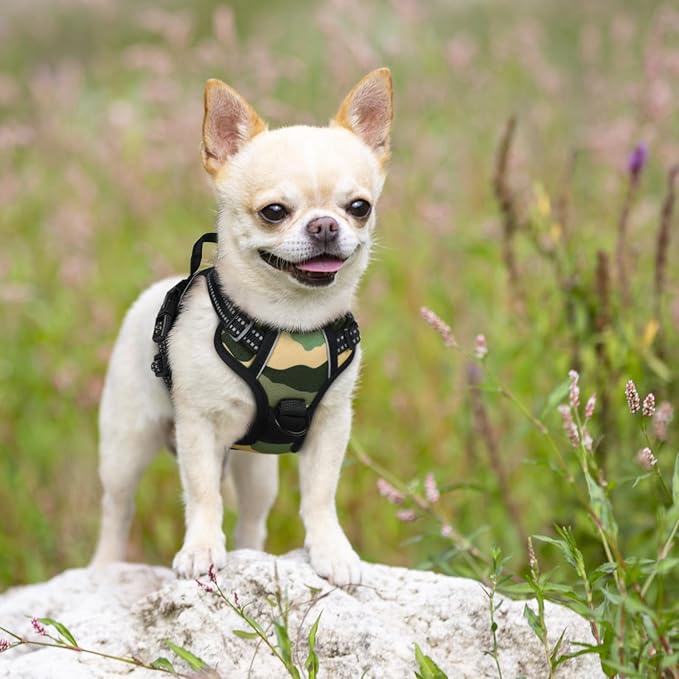 rabbitgoo Dog Harness, No Pull for Small Dogs with 2 Leash Clips, Pet Vest | No Choke with Handle, Adjustable Soft Padded, Reflective, Easy Control for Walking, Green Mountain, X-Small