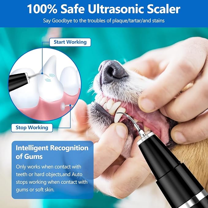 Ni-SHEN Plaque Remover for Teeth - Pet Ultrasonic Cleaner - Teeth Cleaning Kit for Tartar and Stains - Suitable for Dogs and Cats (Black)