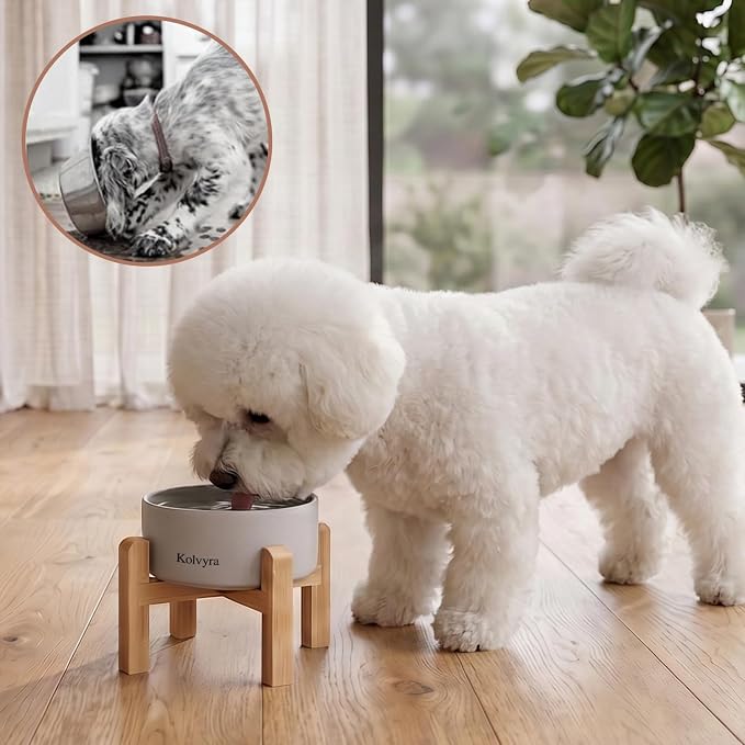 6" Elevated Ceramic Dog Bowl, Anti-Vomiting 23oz for Small Dogs | Premium Food-safe Ceramic with Anti-slip Wood Stand,Dishwasher Safe,Ergonomic Height Relieves Neck Strain,Grey