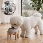 6" Elevated Ceramic Dog Bowl, Anti-Vomiting 23oz for Small Dogs | Premium Food-safe Ceramic with Anti-slip Wood Stand,Dishwasher Safe,Ergonomic Height Relieves Neck Strain,Grey