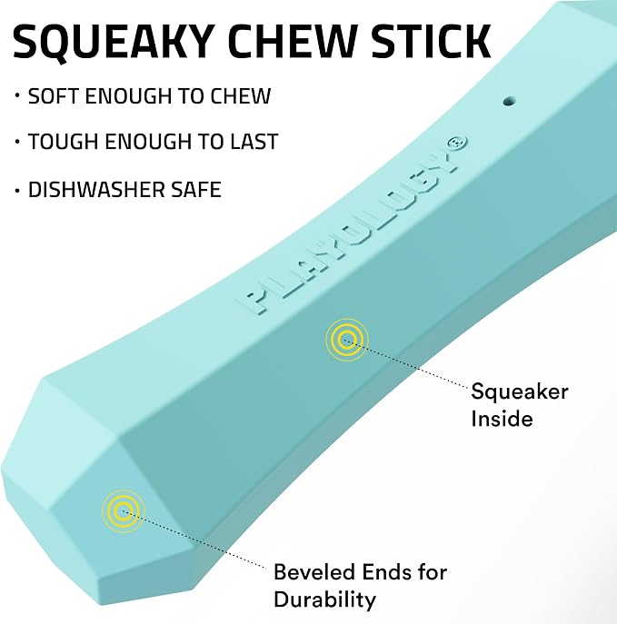Playology Dog Toys | Squeaky Chew Stick for Dogs, Value 2-Pack | Peanut Butter Scented Medium Fetch Toy | Squeaky Dog Chew Toy