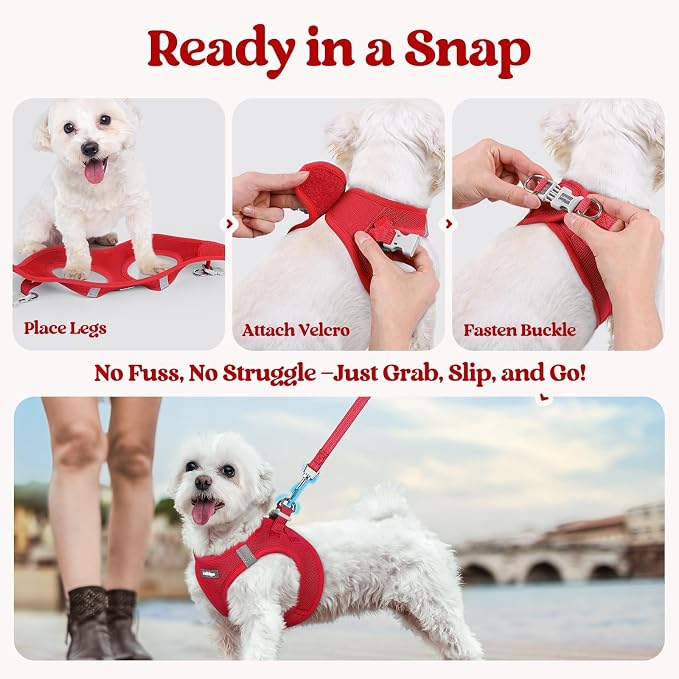 rabbitgoo Dog Harness Medium Sized and Leash Set, Step-in Puppy Pet Vest | Light, Soft, Breathable Air Mesh, Easy on and Remove with Hook & Loop, Secure Reflective for Walking, Red XXL