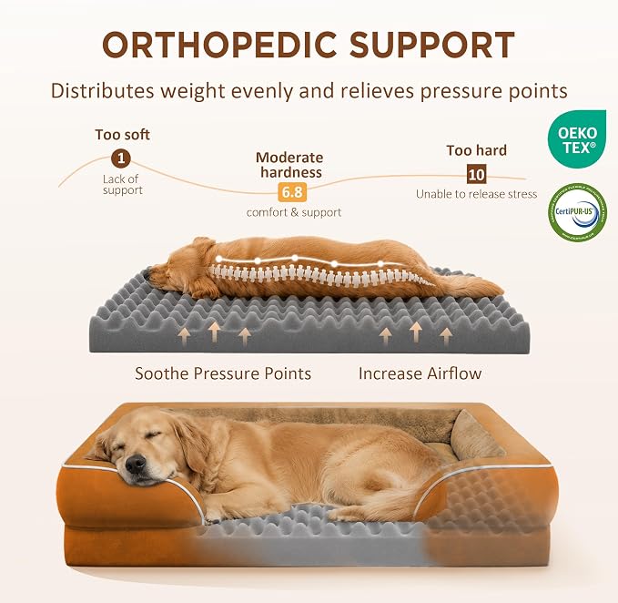 Comfort Expression Orthopedic Dog Beds for Large Sized Dog with Bolster | Waterproof Dog Couch Bed with Washable Cover & Non-Slip Bottom, Supportive Egg Crate Foam Large Pet Bed, 36x27 Inch