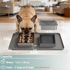 Dog Bowl Set, No Spill Dog Water and Food Bowl with Slow Feeder | Large Capacity 304 Stainless Steel Bowls, 3-In-1 Set, Slows Drinking, Anti-Slip Mat, Easy to Clean, Home/Travel, 6-7 Cups