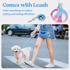 rabbitgoo Dog Harness Small Sized and Leash Set, Step-in Puppy Pet Vest | Light, Soft, Breathable Air Mesh, Easy on and Remove with Hook & Loop, Secure Reflective for Walking, Blue & Light Pink M