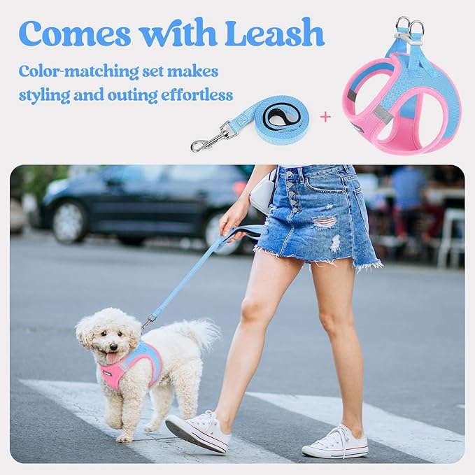 rabbitgoo Dog Harness Medium Sized and Leash Set, Step-in Puppy Pet Vest | Light, Soft, Breathable Air Mesh, Easy on and Remove with Hook & Loop, Secure Reflective for Walking, Blue & Light Pink XXL